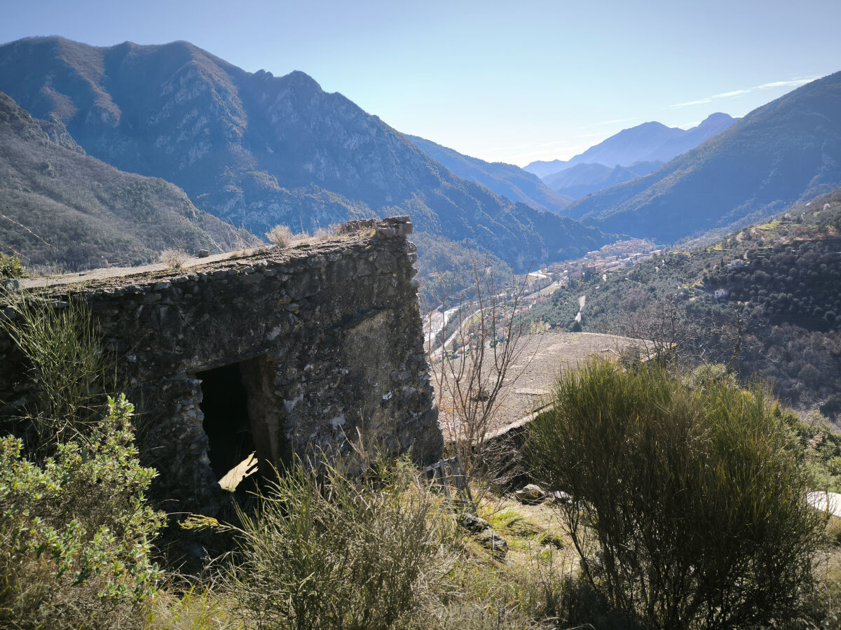 Image description