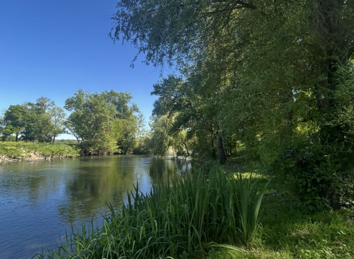Image description