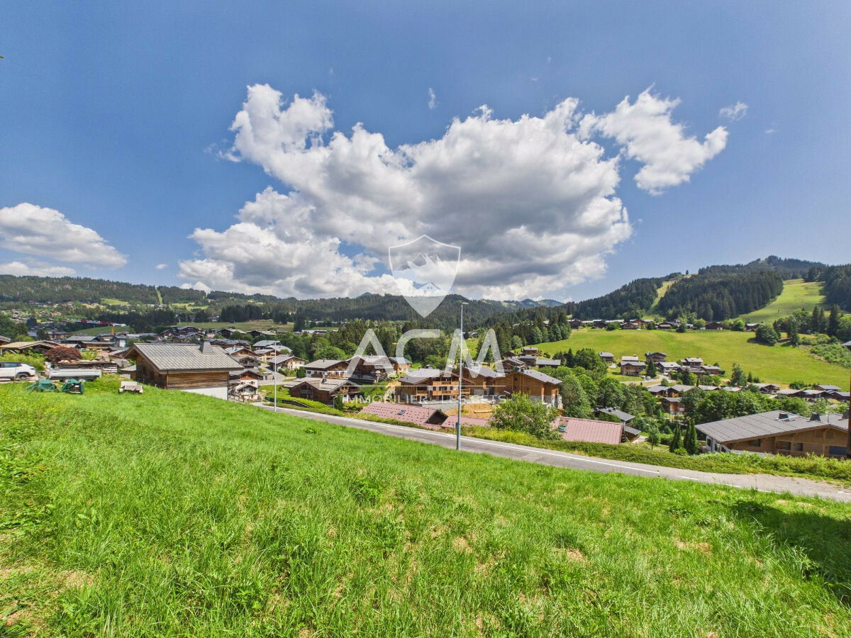 Image description