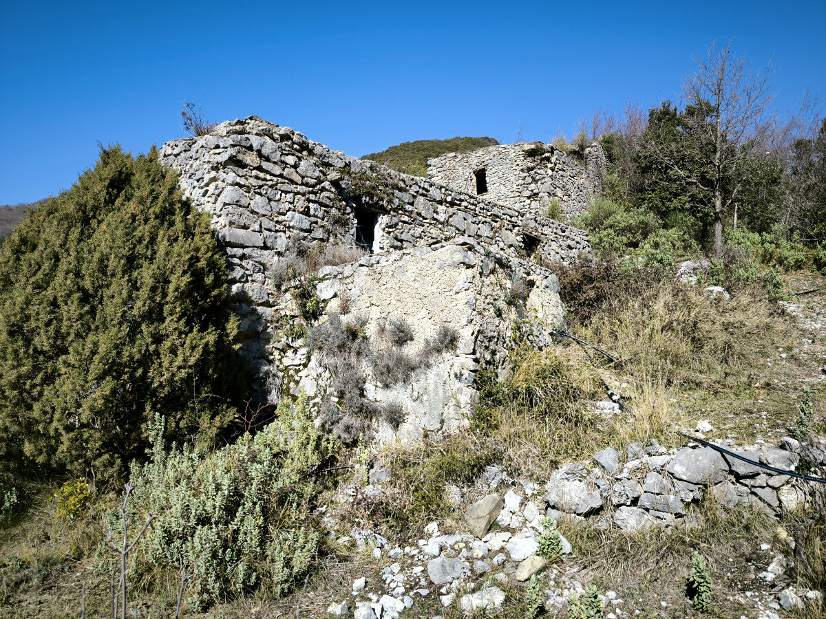 Image description