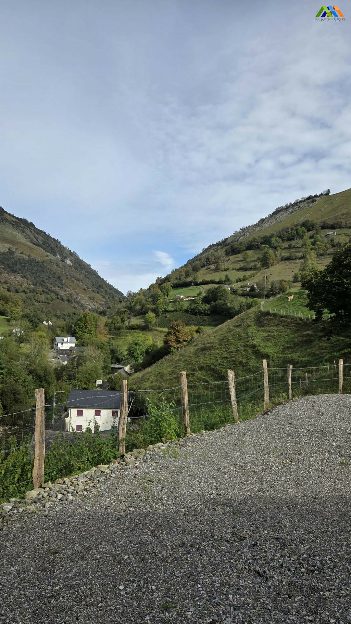 Image description