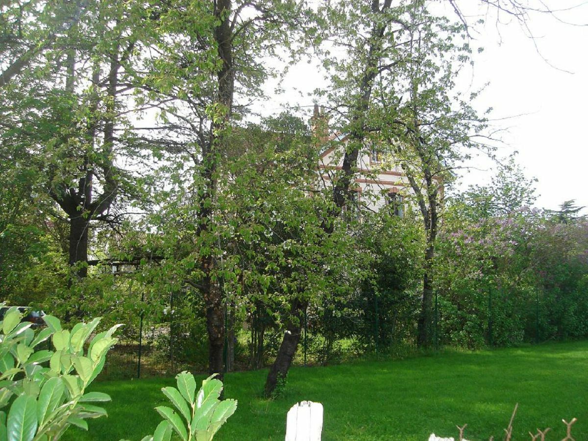 Image description