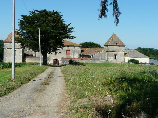 Image description