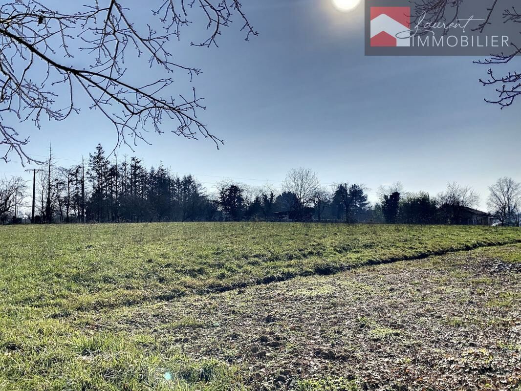 Vente Terrain 11492m² à Arbigny (01190) - Clairimmo