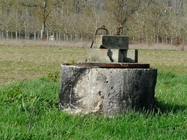 Image description