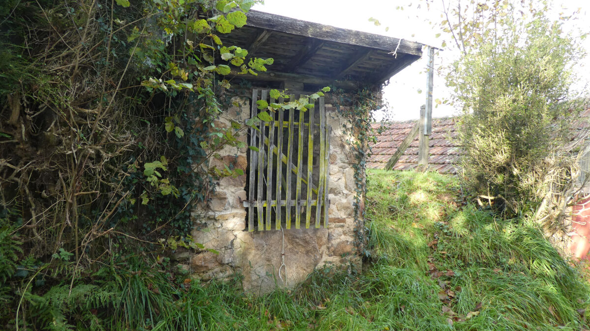 Image description
