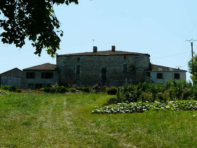 Image description