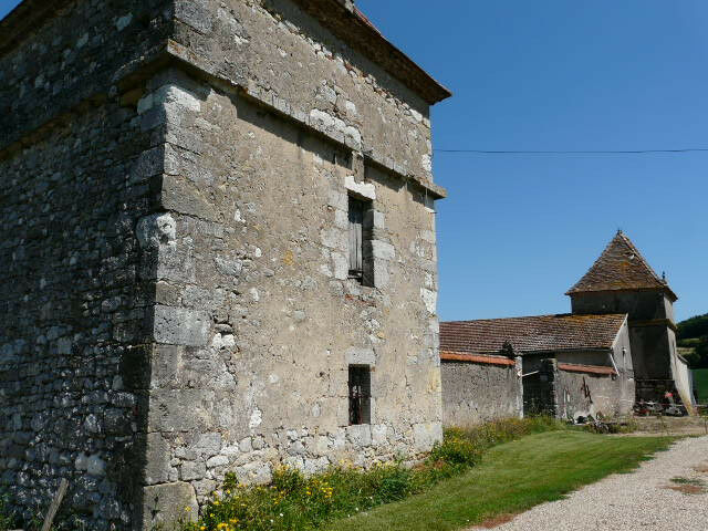 Image description