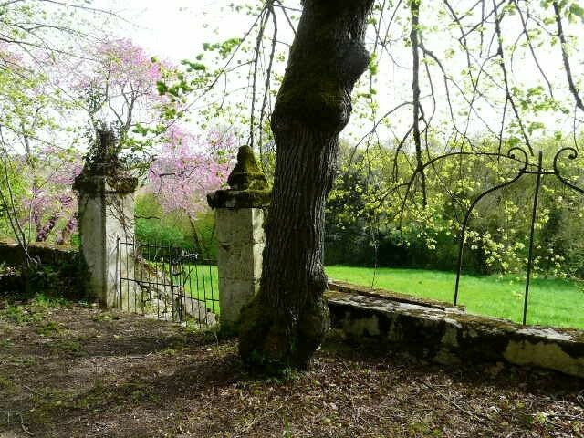 Image description