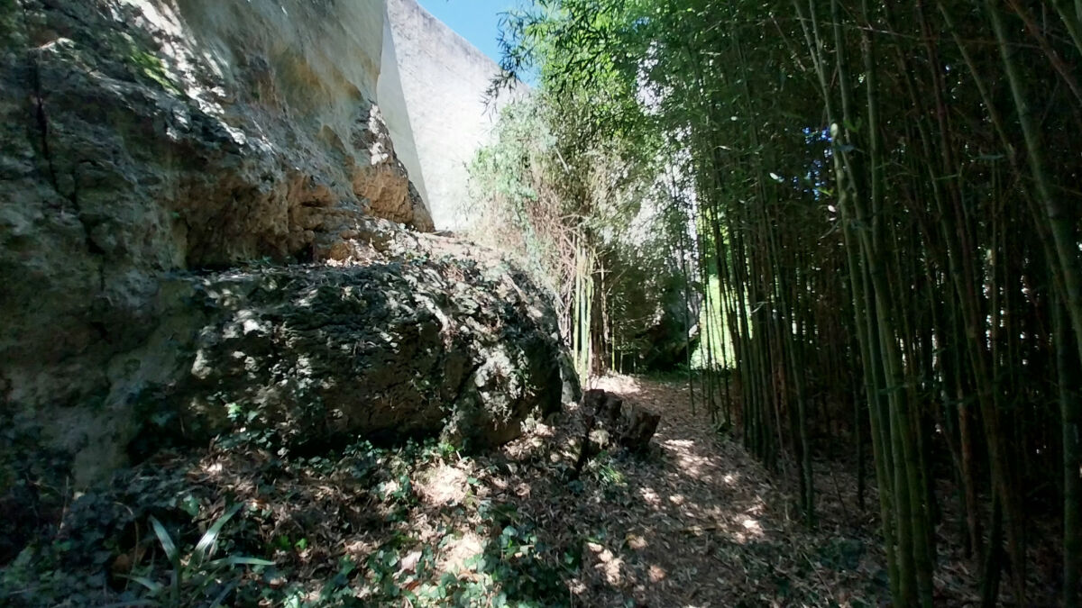 Image description