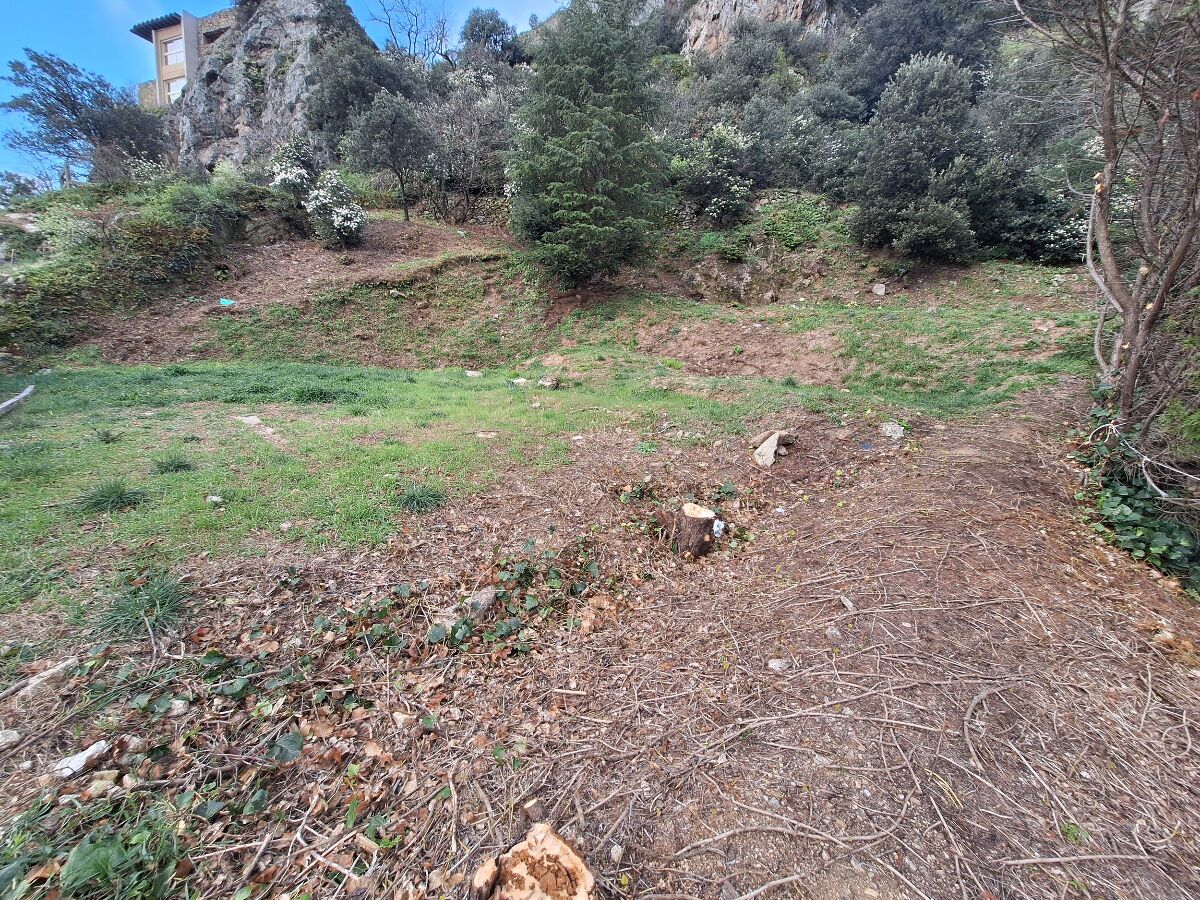 Image description