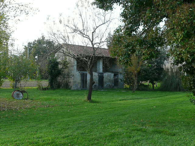 Image description