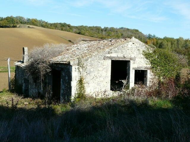 Image description