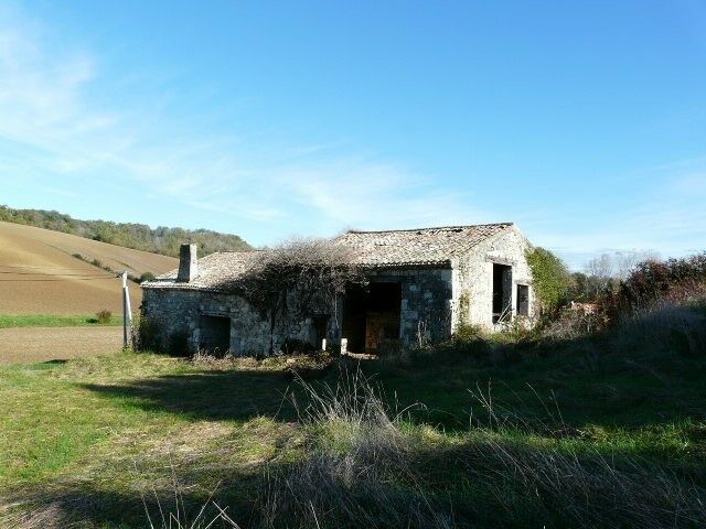 Image description