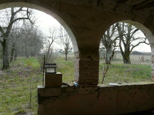 Image description