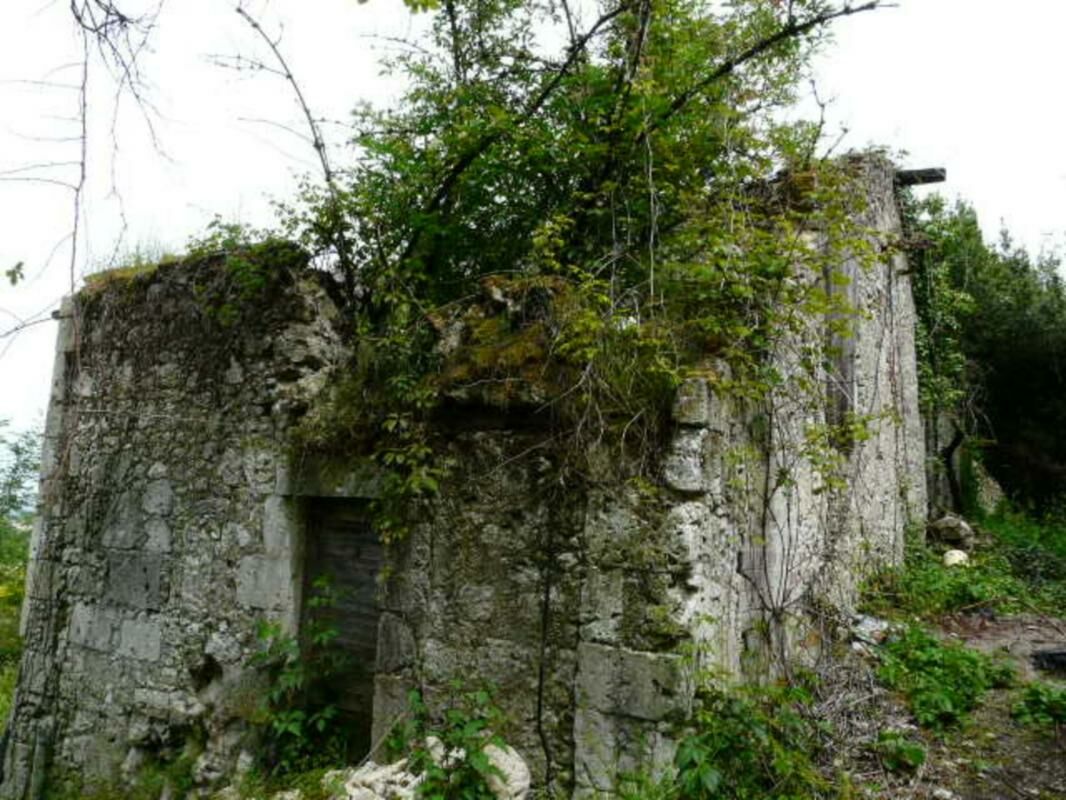 Image description