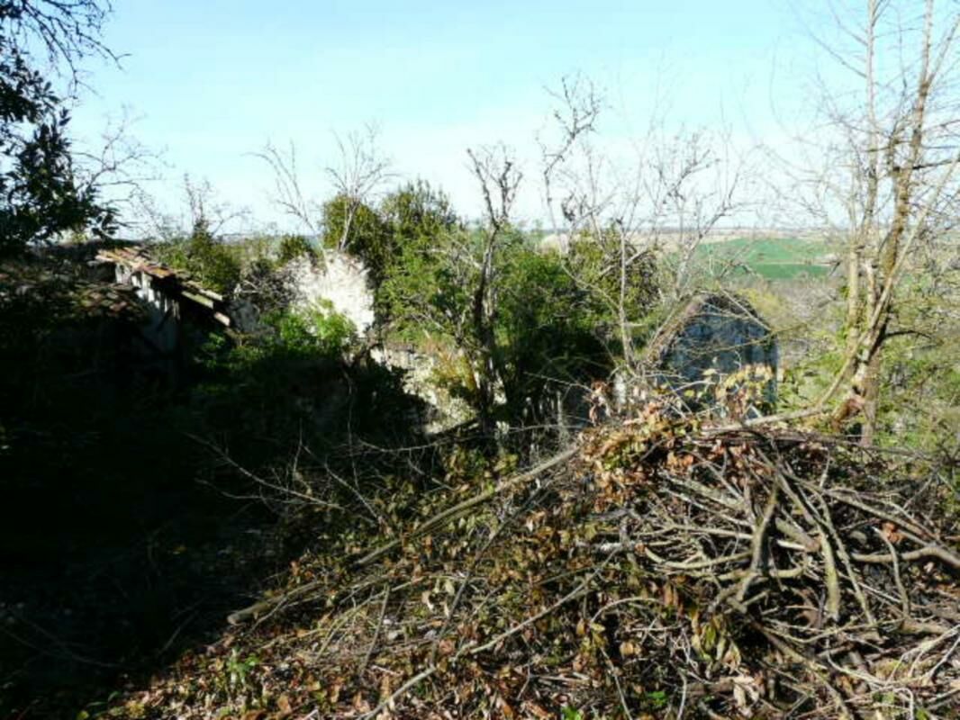 Image description