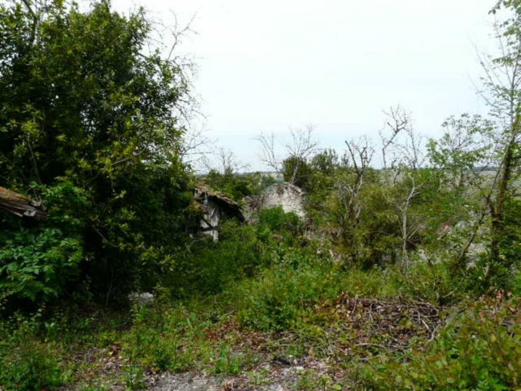 Image description