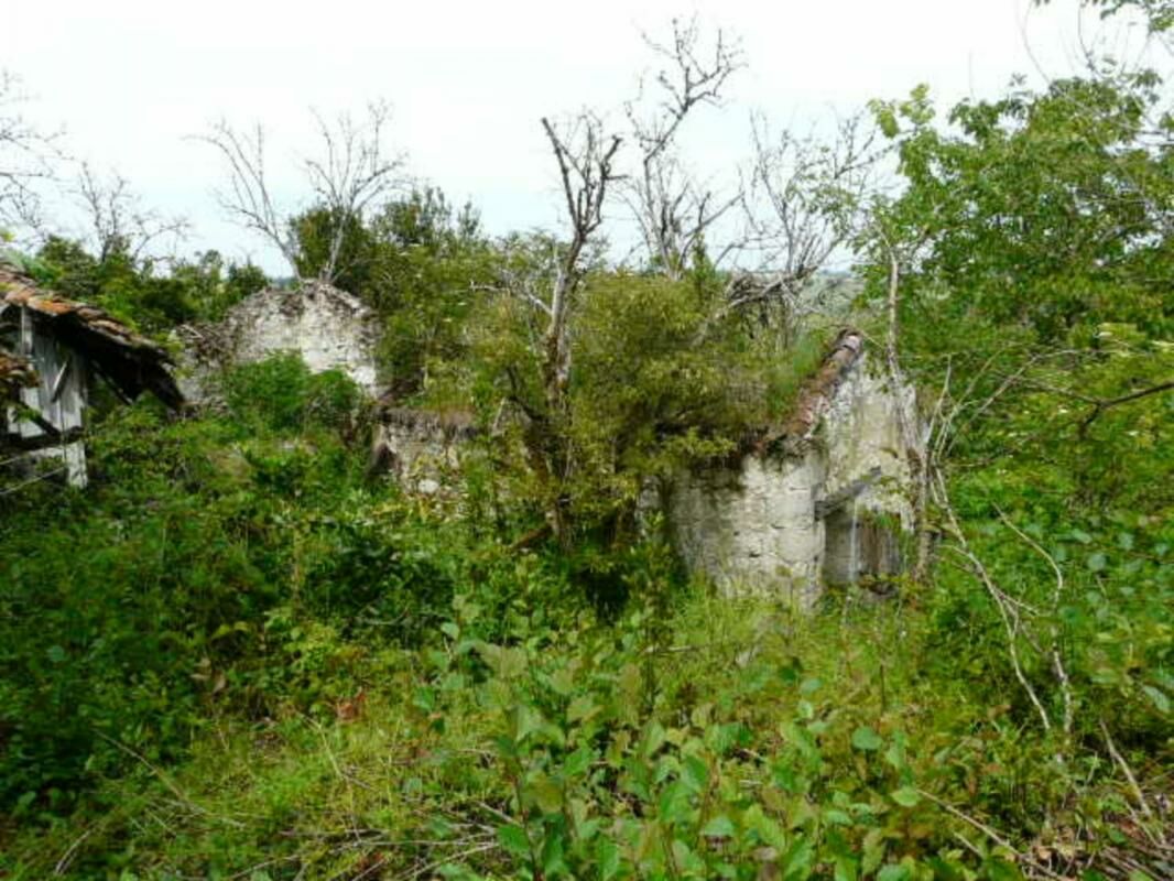 Image description