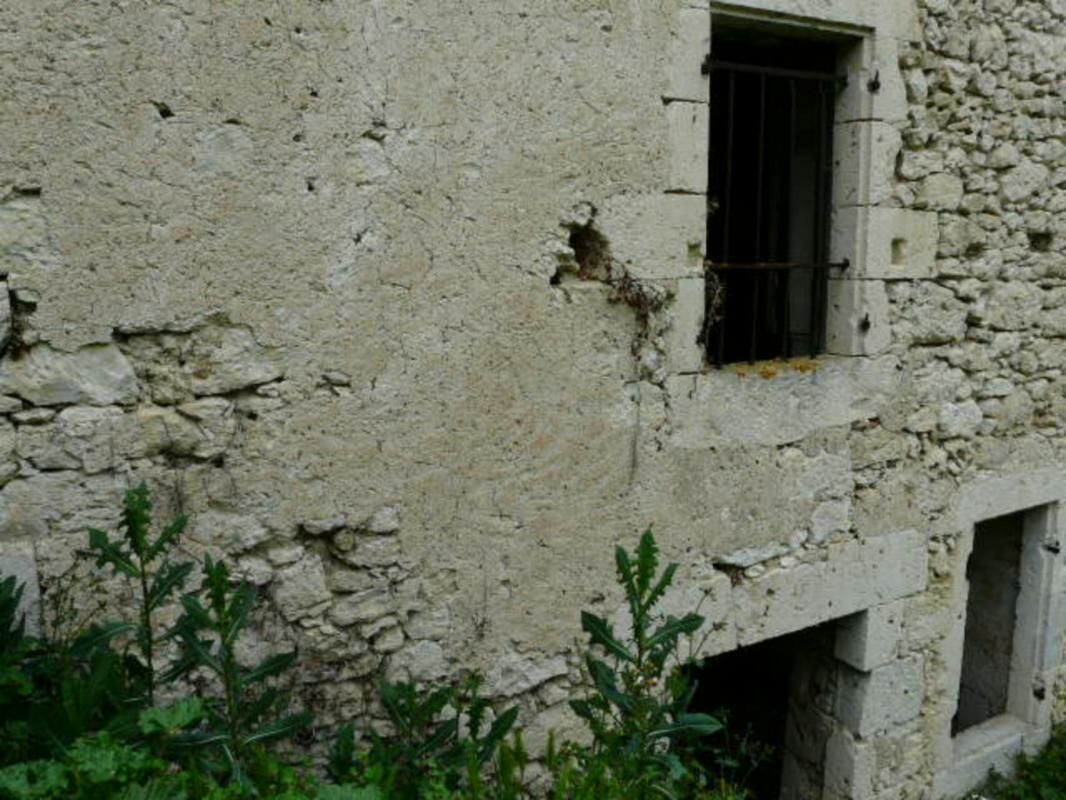 Image description